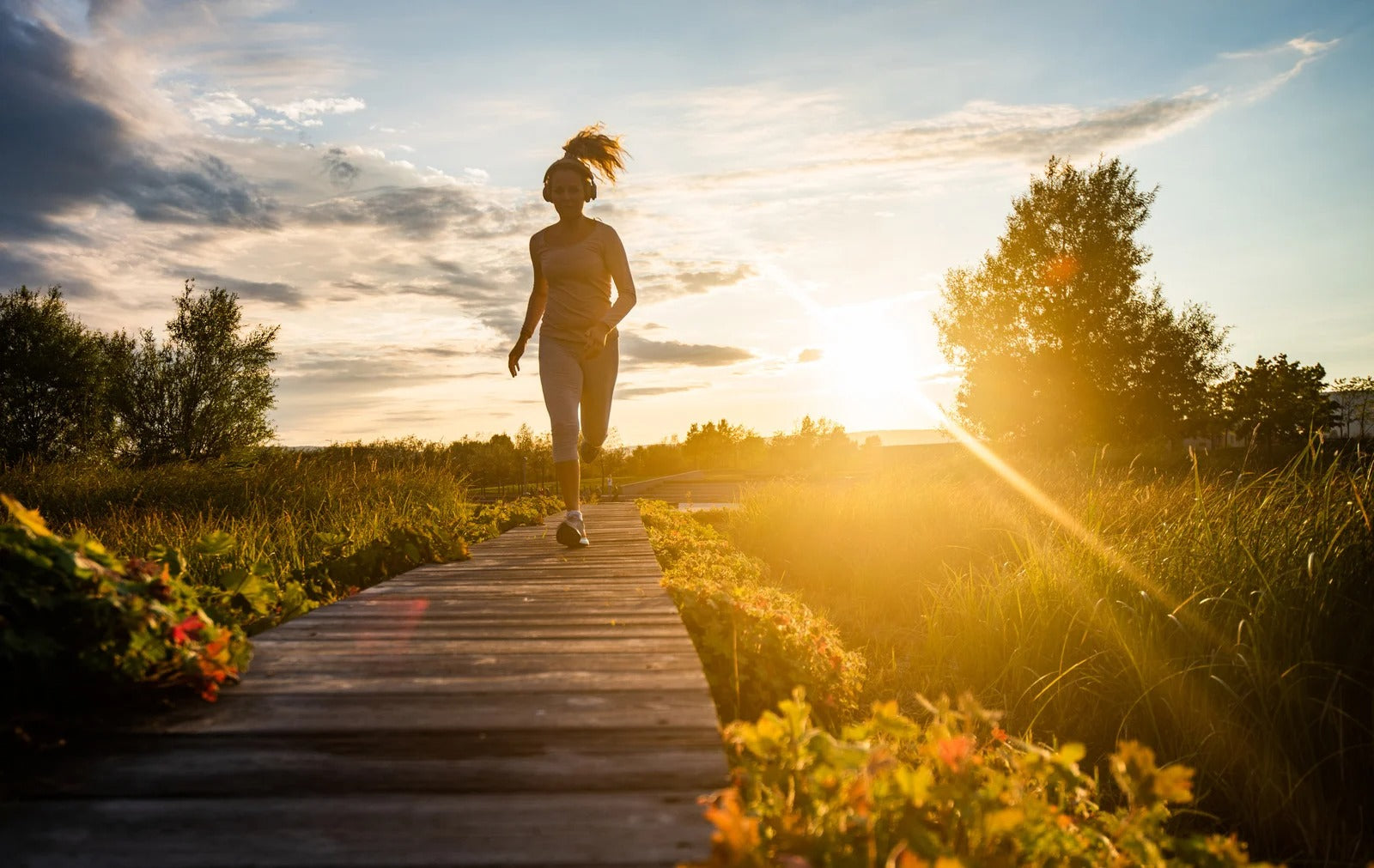 Thee en Gezondheid: 7 Redenen om Dagelijks Thee te Drinken